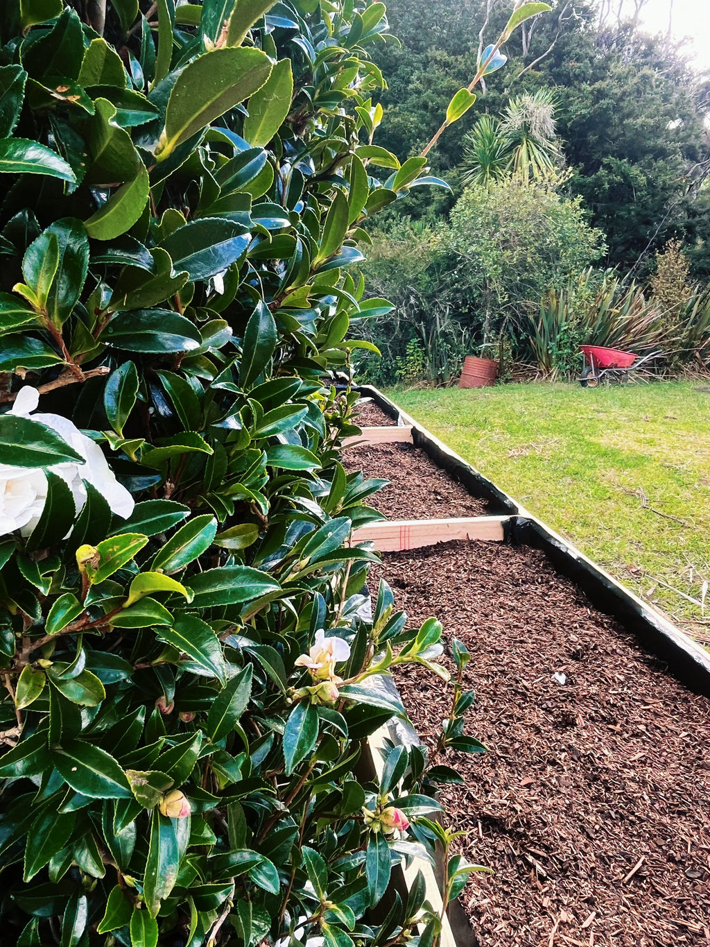 🌿【Long Raised Garden Bed】– Made from NZ Pine · Custom Sizes Available · All-in-One Structure