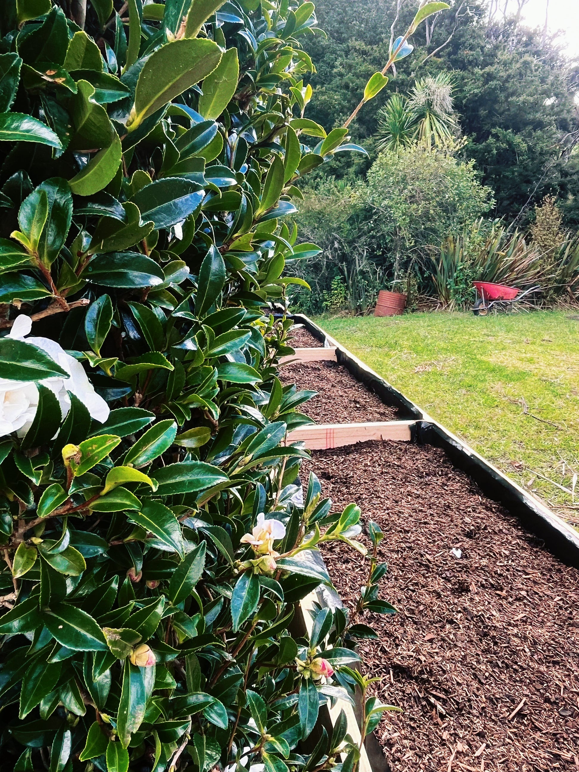 🌿【Long Raised Garden Bed】– Made from NZ Pine · Custom Sizes Available · All-in-One Structure