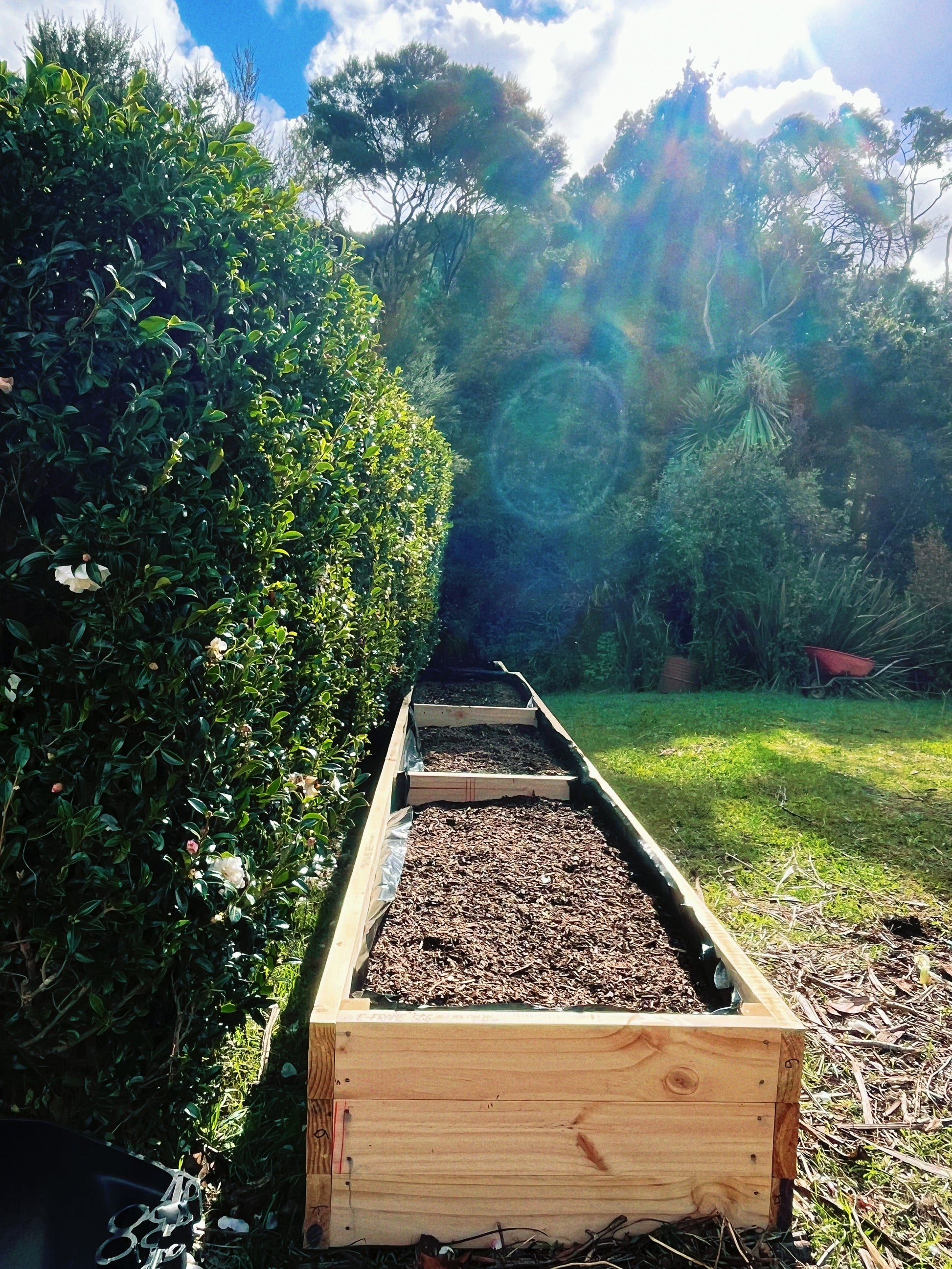🌿【Long Raised Garden Bed】– Made from NZ Pine · Custom Sizes Available · All-in-One Structure