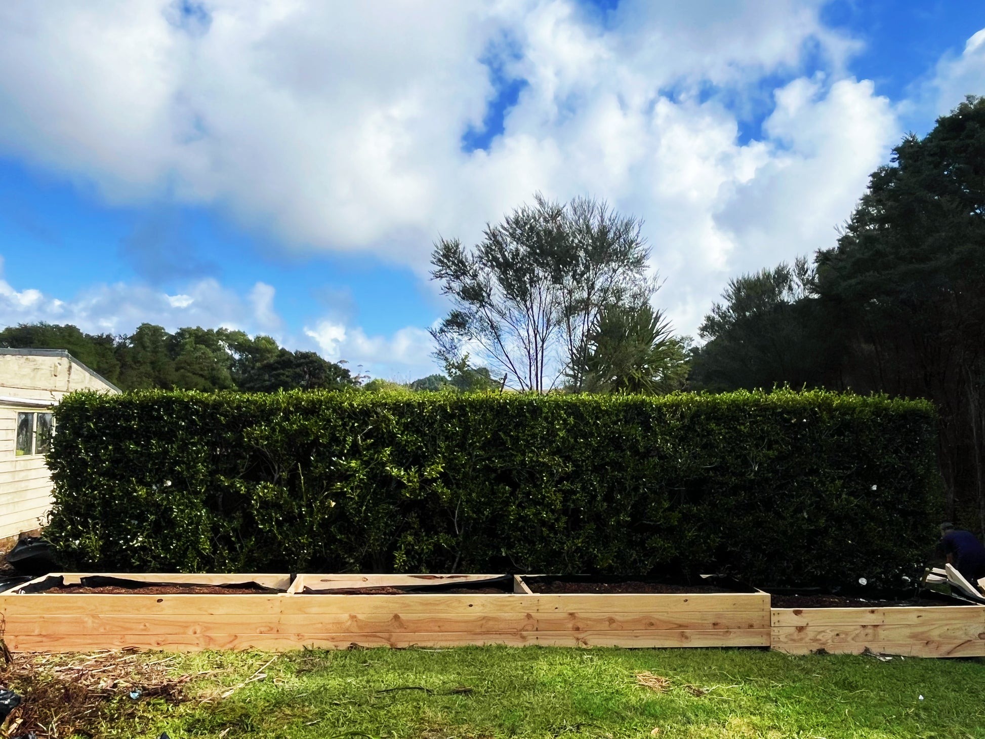 🌿【Long Raised Garden Bed】– Made from NZ Pine · Custom Sizes Available · All-in-One Structure