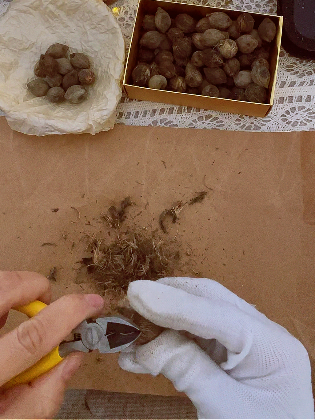 🐿️ HerbZen "Zijin Mouse" Natural Handmade Bead Bracelet